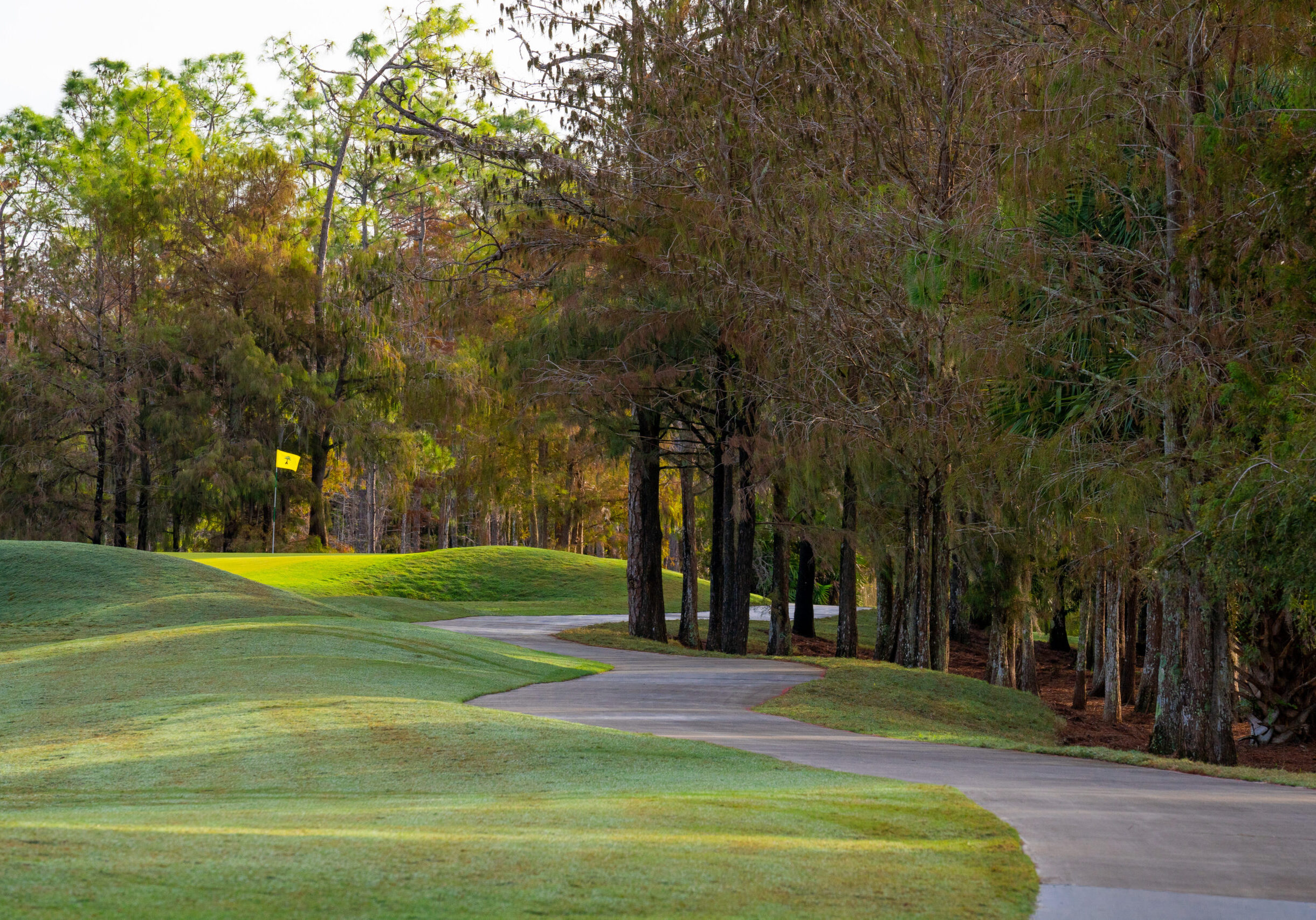 Olde_Cypress_Golf_Path